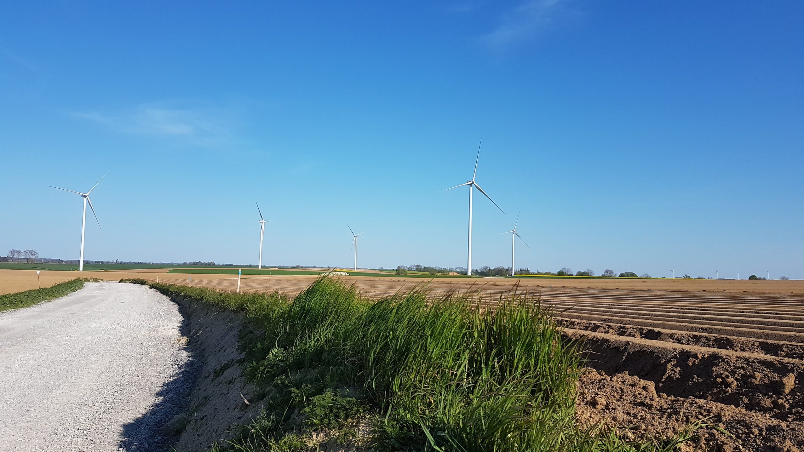 Une entreprise québécoise déploie l’éolien en France