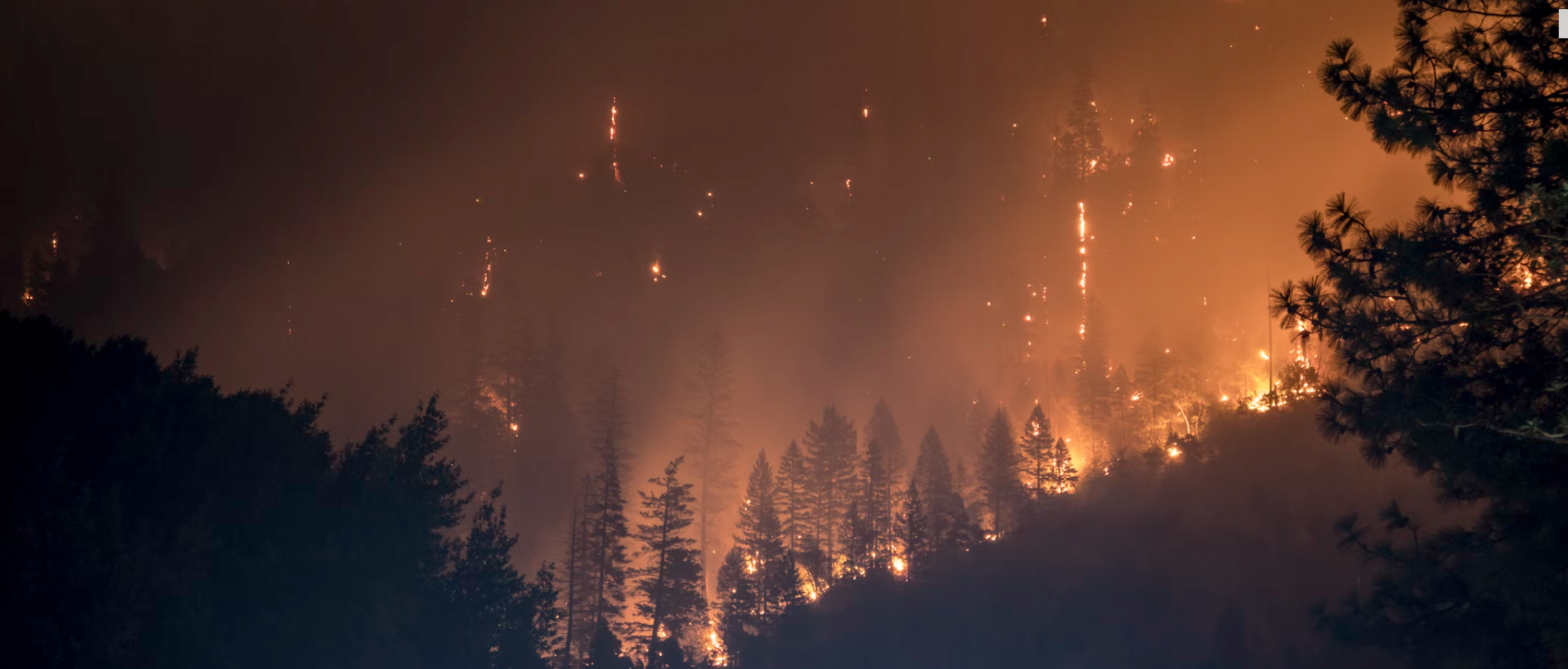 Prédire l’imprévisible : Quand la spontanéité des feux de forêt est savamment étudiée